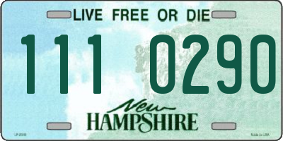 NH license plate 1110290