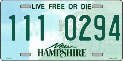 NH license plate 1110294