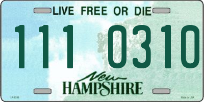NH license plate 1110310