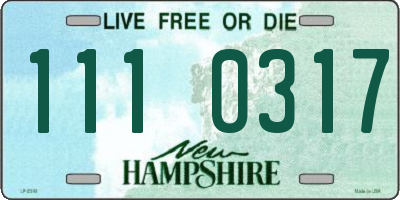 NH license plate 1110317