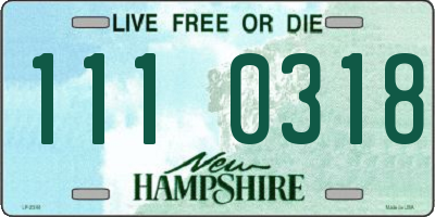 NH license plate 1110318