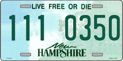 NH license plate 1110350
