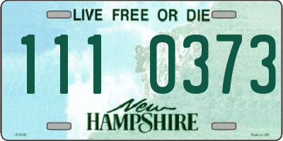 NH license plate 1110373