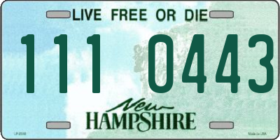 NH license plate 1110443