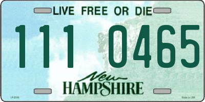 NH license plate 1110465