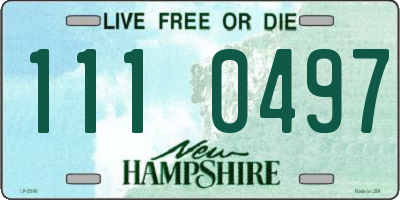 NH license plate 1110497