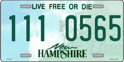 NH license plate 1110565