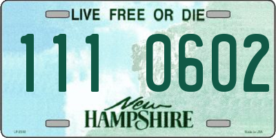 NH license plate 1110602