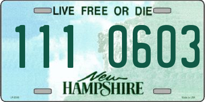 NH license plate 1110603