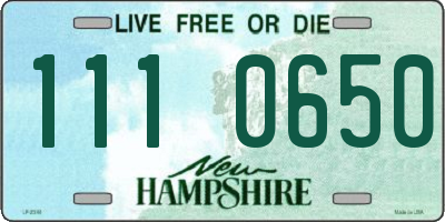 NH license plate 1110650