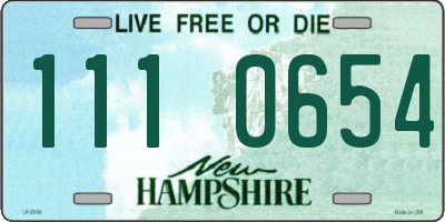 NH license plate 1110654