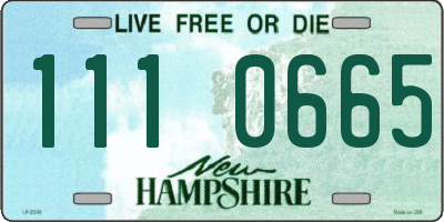 NH license plate 1110665