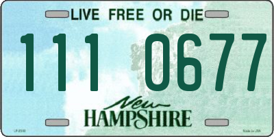 NH license plate 1110677