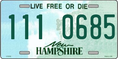 NH license plate 1110685