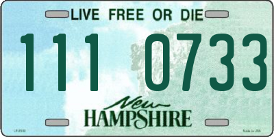 NH license plate 1110733