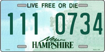 NH license plate 1110734