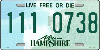 NH license plate 1110738
