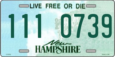 NH license plate 1110739