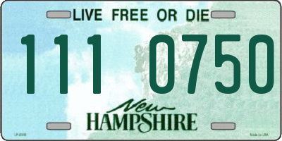 NH license plate 1110750