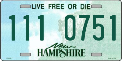NH license plate 1110751