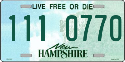 NH license plate 1110770