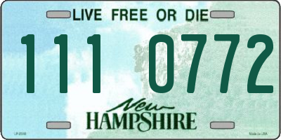 NH license plate 1110772