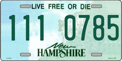 NH license plate 1110785