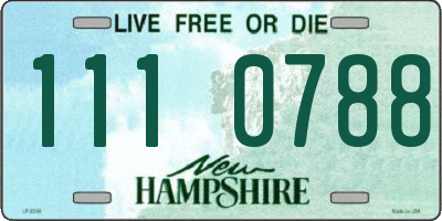 NH license plate 1110788