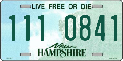 NH license plate 1110841