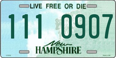 NH license plate 1110907