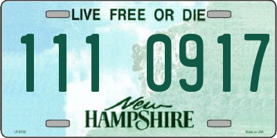 NH license plate 1110917