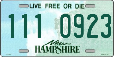 NH license plate 1110923