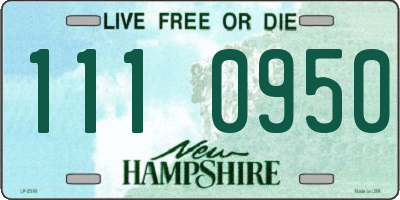 NH license plate 1110950