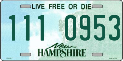 NH license plate 1110953