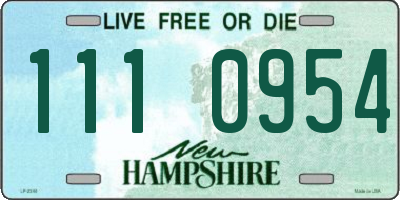 NH license plate 1110954