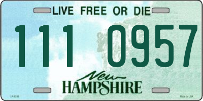 NH license plate 1110957