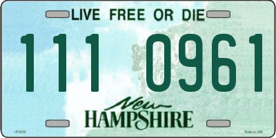 NH license plate 1110961