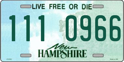 NH license plate 1110966