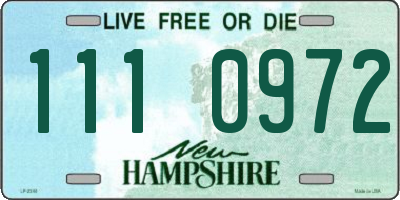 NH license plate 1110972