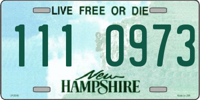 NH license plate 1110973