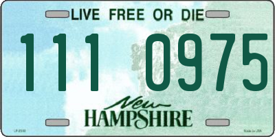 NH license plate 1110975