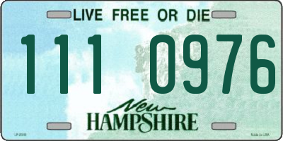 NH license plate 1110976