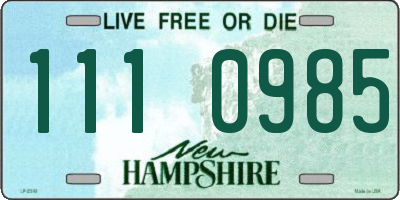 NH license plate 1110985