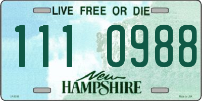 NH license plate 1110988