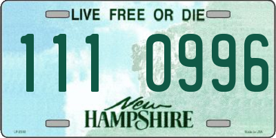 NH license plate 1110996