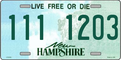 NH license plate 1111203