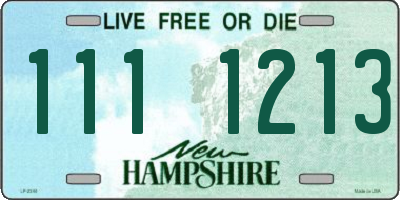 NH license plate 1111213