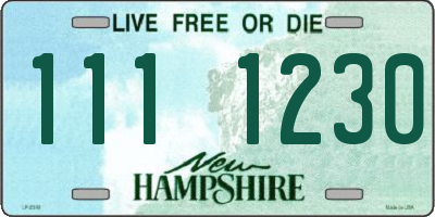 NH license plate 1111230