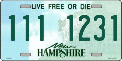 NH license plate 1111231