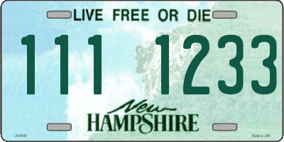 NH license plate 1111233